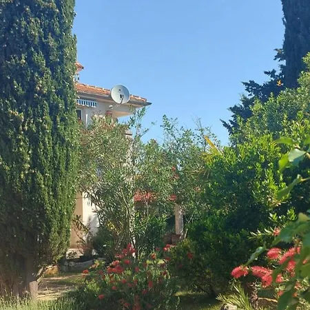Ana Premantura